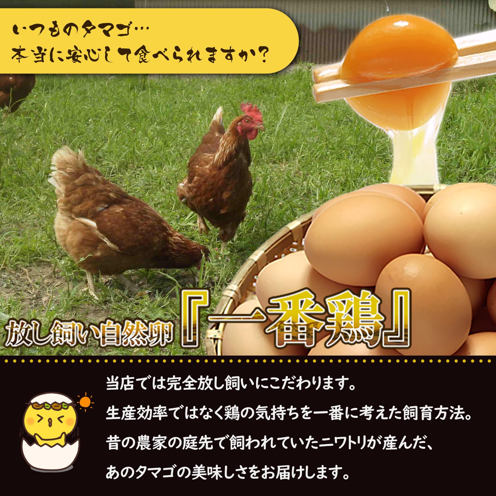 Amazon | 水郷のとりやさん 平飼い卵 【放し飼いでのびのび育った鶏の